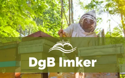 DgB Imker – Person im Imkeranzug arbeitet am Bienenstock