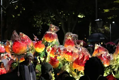 Laternenlauf an St. Martin