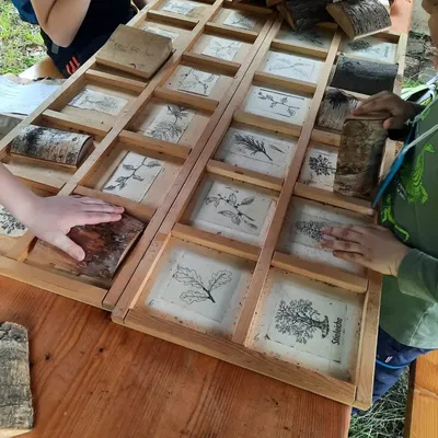 Mit dem Jäger und der Wildtierschützerin durch Bünzwanger Forst