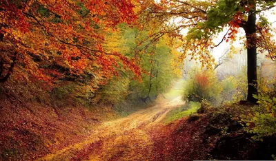 Jägertour durch den Bünzwanger Forst „Herbst“ – KitaKinder