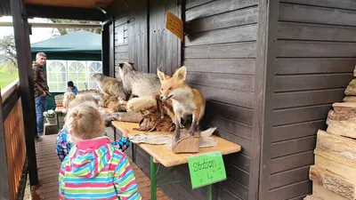 Jägertour im Herbst