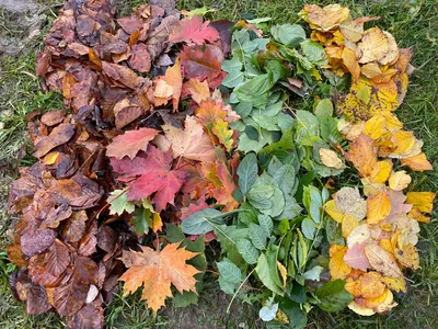 Jägertour im Herbst