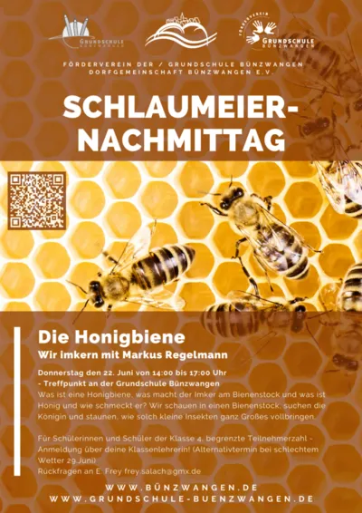 Schlaumeiernachmittag -Die Honigbiene