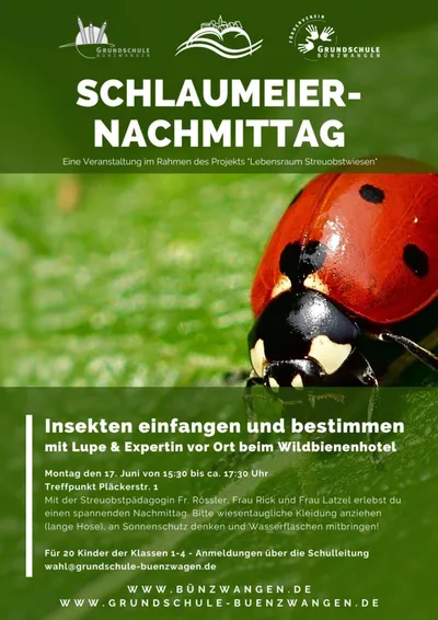 Schlaumeiernachmittag – Insekten einfangen und bestimmen