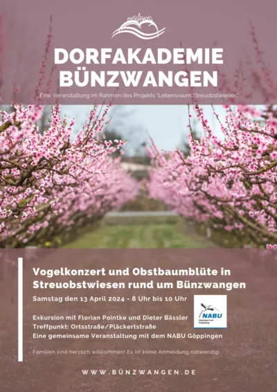Vogelkonzert und Obstbaumblüte in Streuobstwiesen rund um Bünzwangen