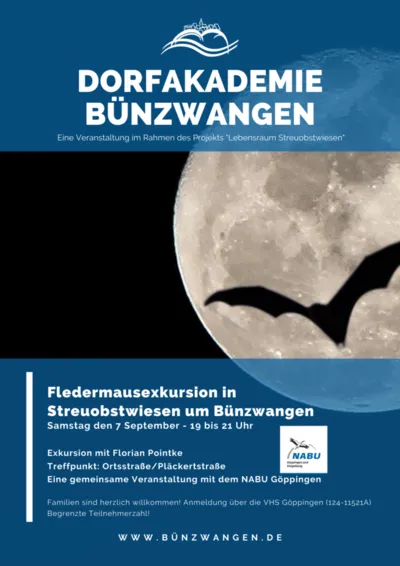 Fledermausexkursion in Streuobstwiesen um Bünzwangen