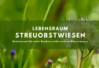 „Streuobstprojekt“ – Insekten und Kleintiere beobachten