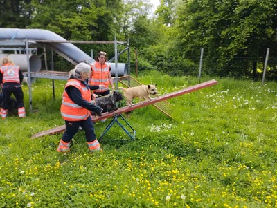 KKC  - Rettungshundestaffel