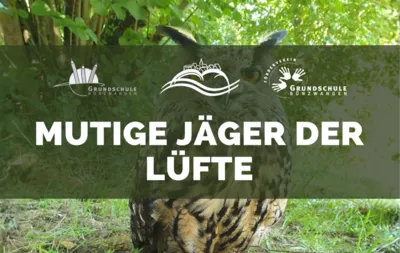 Schlaumeiernachmittag – Mutige Jäger der Lüfte