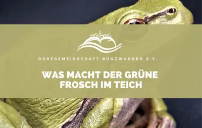 KKC MINIS – Was macht der grüne Frosch im Teich