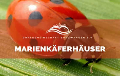 KKC Minis – Marienkäferhäuser bemalen und füllen